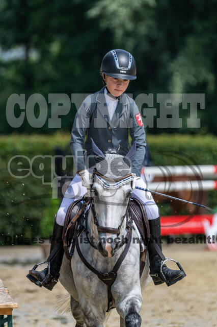 Goldene Schärpe 2021 - Ponys