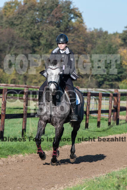 Vielseitigkeitslehrgang mit Jürg Kurbel (9.+10.11.2019)