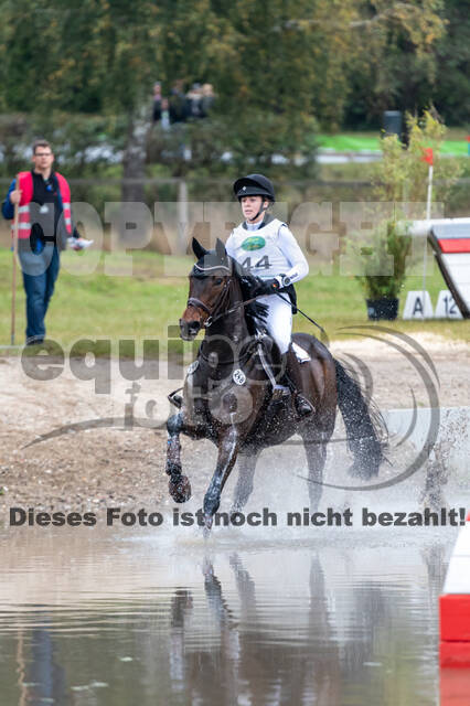 Deutsche Meisterschaft Vielseitigkeit (Luhmühlen)