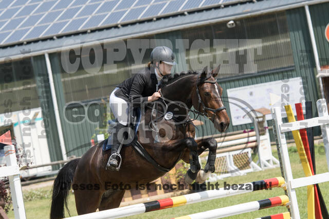 Vielseitigkeitsturnier ZRuFV von Lützow Hamminkeln