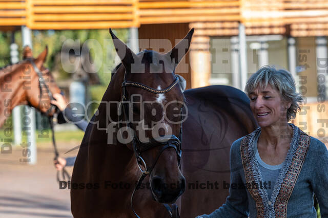 Deutsche Meisterschaft Vielseitigkeit (Luhmühlen)