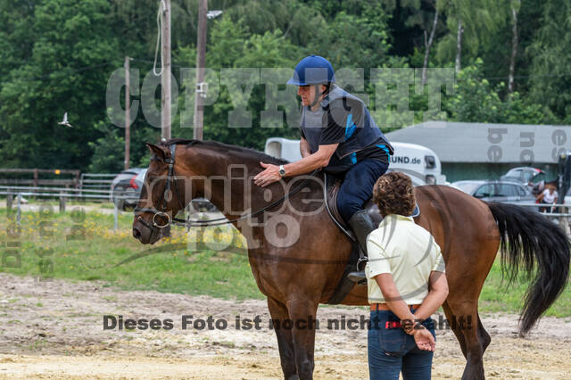 Hunter Geländetraining 10.07.2021 (Sonsbeck)