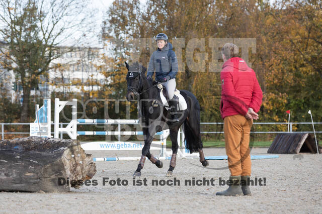 IGV Lehrgang der Sieger der Cups mit Frank Ostholt