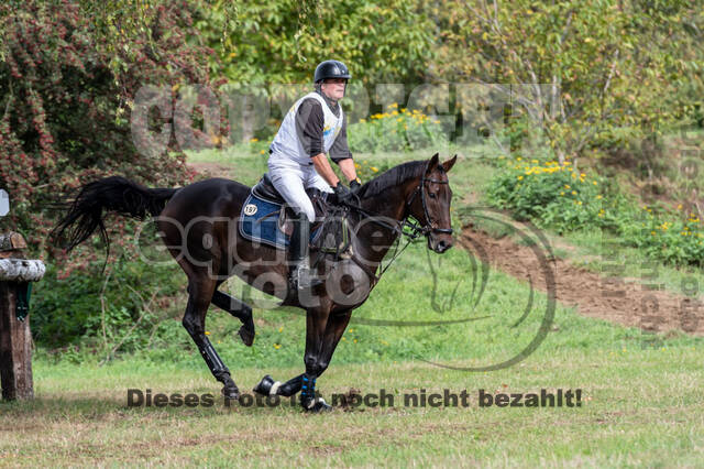 Vielseitigkeit RSV Wesel Obrighoven (26.+27.09.2020)