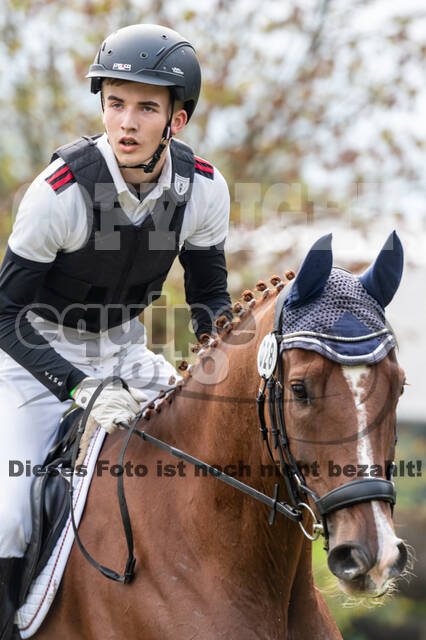 Goldene Schärpe 2020 - Pferde