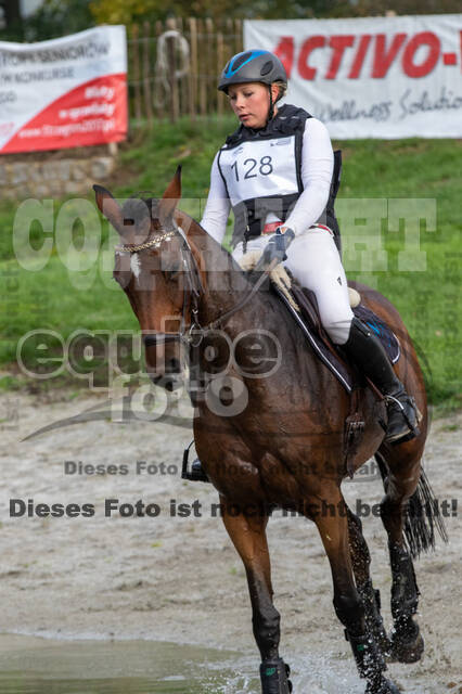 Strzegom October Festival 2016