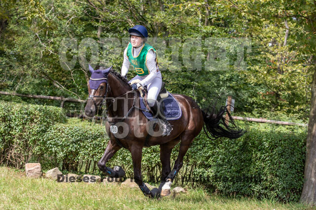 Late-Entry-Vielseitigkeit Gahlen (18.07.2020)