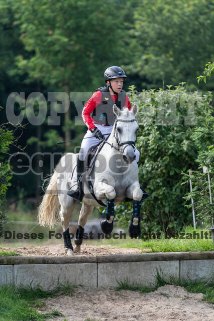 Goldene Schärpe 2021 - Ponys