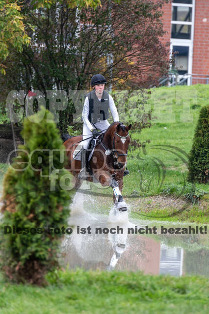 Goldene Schärpe 2020 - Pferde