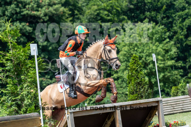 Goldene Schärpe 2021 - Ponys