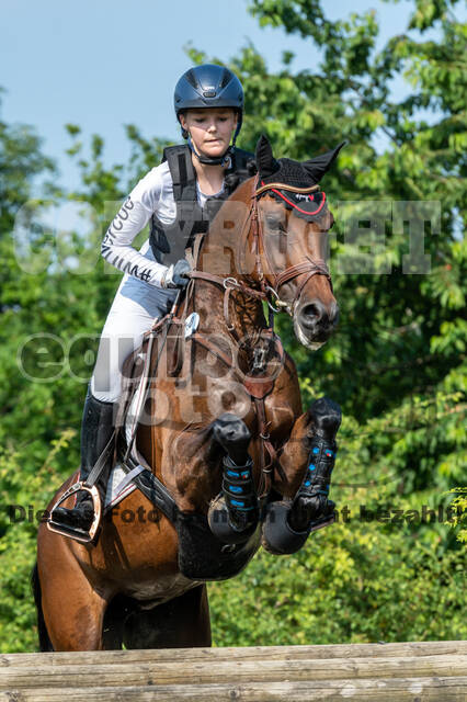 Goldene Schärpe 2021 - Ponys