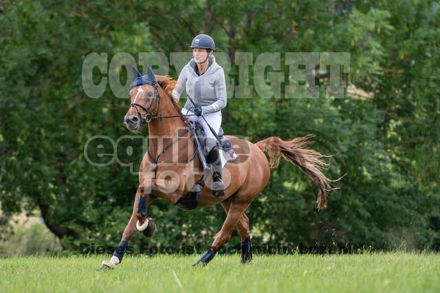Bonn-Rodderberg Late-Entry-Vielseitigkeit (30.06.2020)