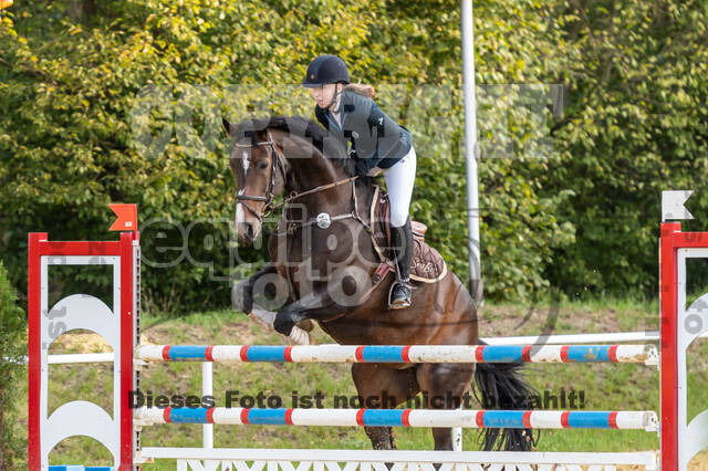 RFV Dinslaken-Hiesfeld (Herbstturnier)