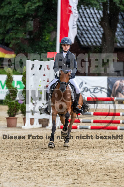 Goldene Schärpe 2021 - Ponys