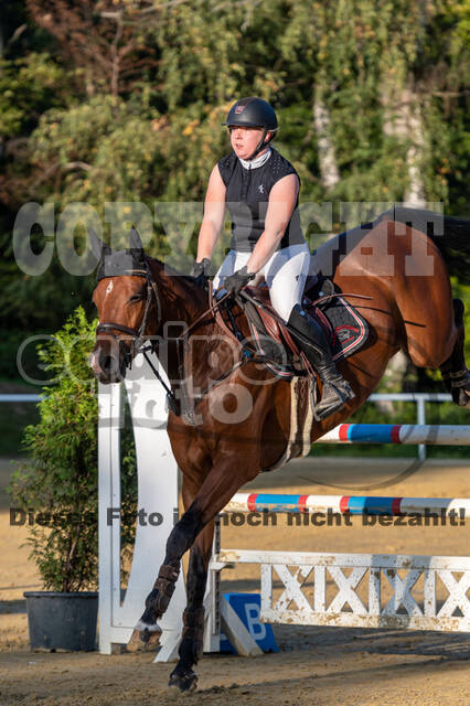 RFV Dinslaken-Hiesfeld (Herbstturnier)