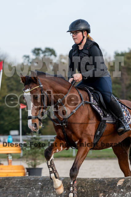 IGV Lehrgang der Sieger der Cups mit Frank Ostholt