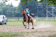 Vielseitigkeitsturnier ZRFV von Lützow Hamminkeln