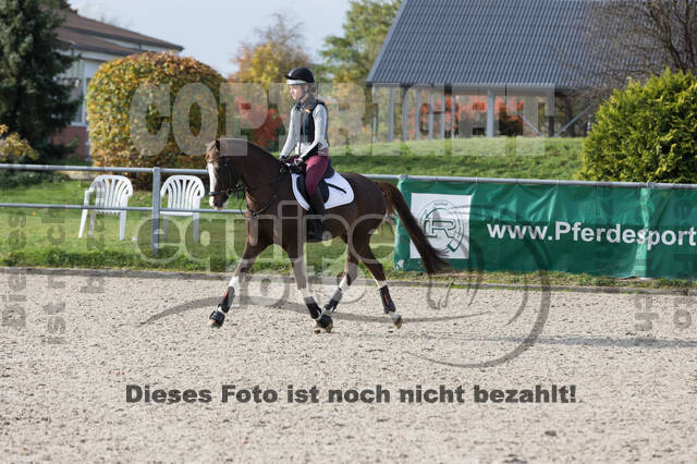 IGV Lehrgang der Sieger der Cups mit Frank Ostholt