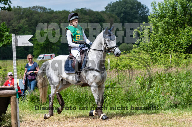 Westerstede Horse Trials (10.-13.06.2021)
