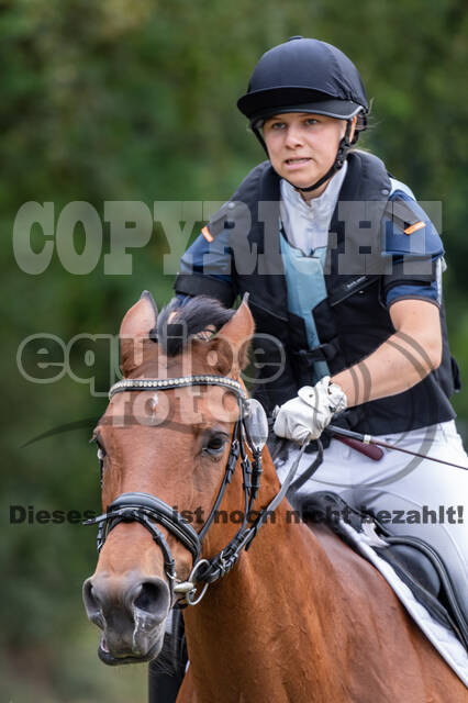 Late-Entry-Vielseitigkeit Langenfeld (11.+13./14.06.2020)