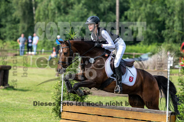 Goldene Schärpe 2021 - Ponys