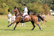 FEI European Championship Eventing 2019