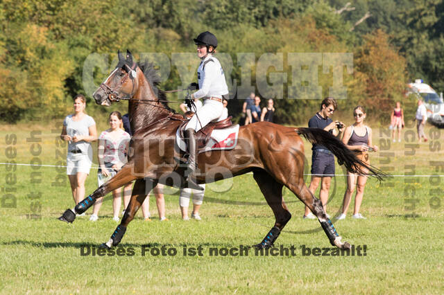 FEI European Championship Eventing 2019