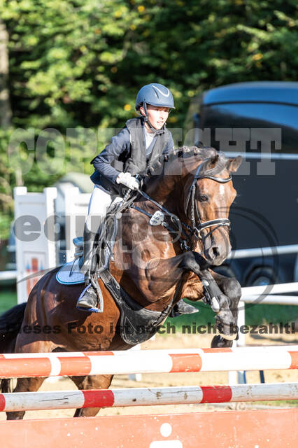 RFV Dinslaken-Hiesfeld (Herbstturnier)