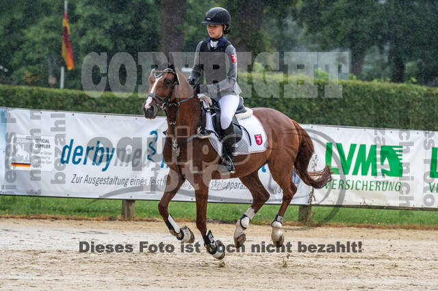 Goldene Schärpe 2021 - Ponys