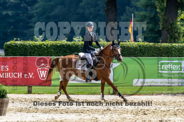 Goldene Schärpe 2021 - Ponys