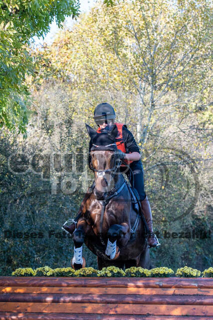 Vielseitigkeitslehrgang mit Jürg Kurbel (9.+10.11.2019)