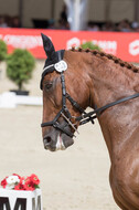 FEI European Championship Eventing 2017