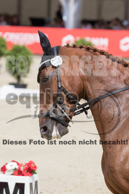 FEI European Championship Eventing 2017