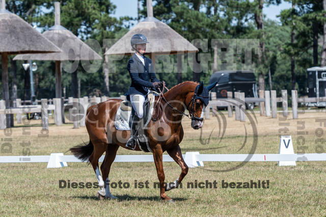 Kronenberg - De Peelbergen (August 2020)