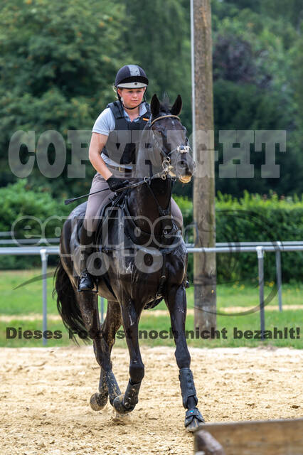 Hunter Geländetraining 10.07.2021 (Sonsbeck)