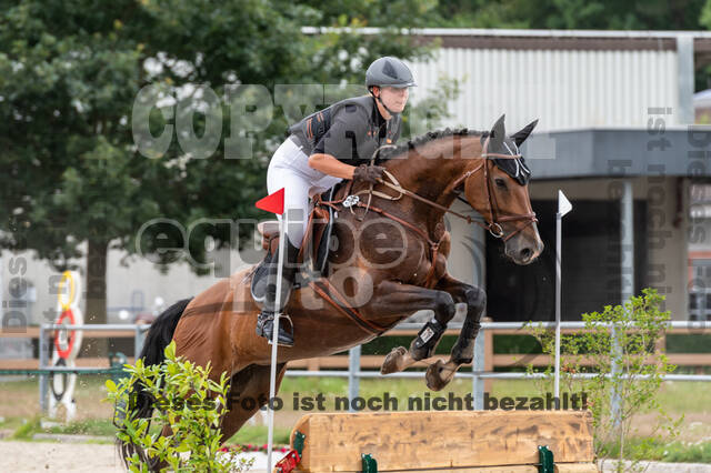 Late-Entry-Vielseitigkeit Langenfeld (06.+07.07.2020)