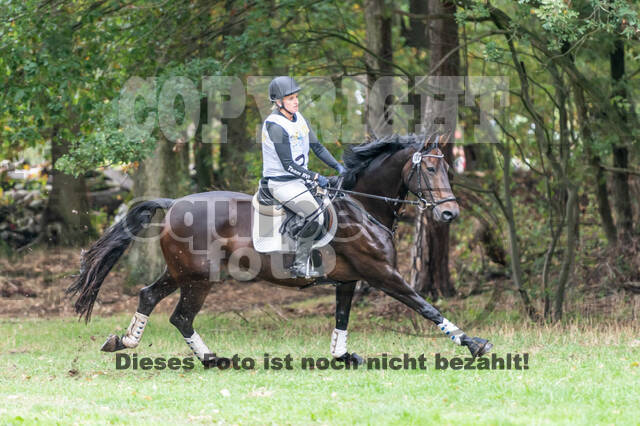 Vielseitigkeit RSV Wesel Obrighoven (26.+27.09.2020)