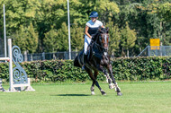 Kronenberg - De Peelbergen (August 2020)