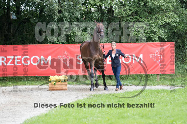 FEI European Championship Eventing 2017