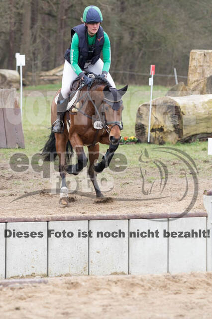 Jungpferdetag Hamminkeln