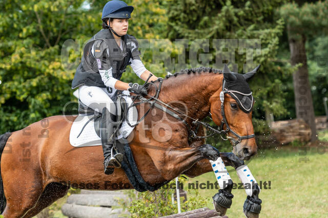 Late-Entry-Vielseitigkeit Langenfeld (11.+13./14.06.2020)