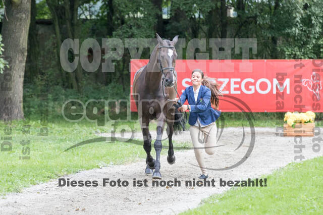 FEI European Championship