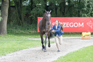 FEI European Championship
