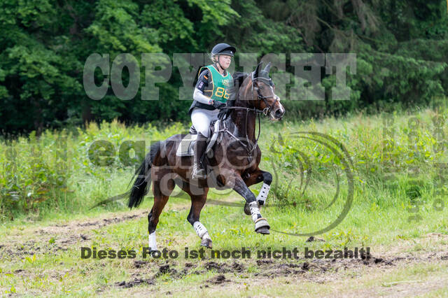 Westerstede Horse Trials (10.-13.06.2021)