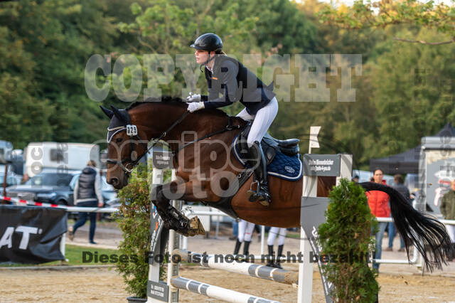 RFV Dinslaken-Hiesfeld (Herbstturnier)