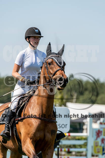 Kronenberg - De Peelbergen (August 2020)