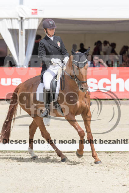 FEI European Championship Eventing 2017