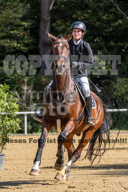 RFV Dinslaken-Hiesfeld (Herbstturnier)