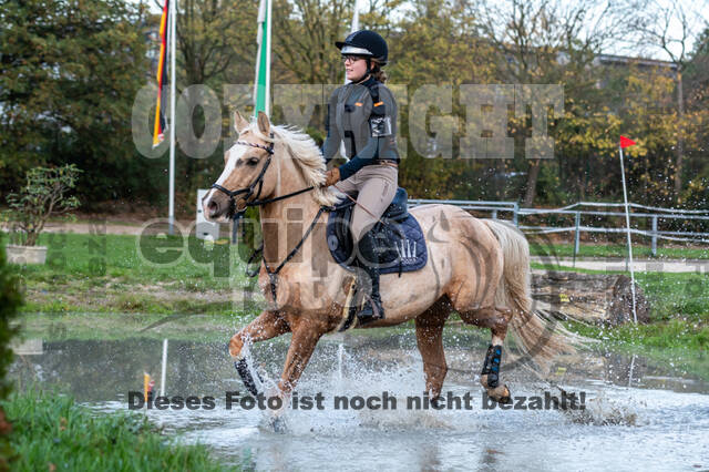 IGV Lehrgang der Sieger der Cups mit Frank Ostholt