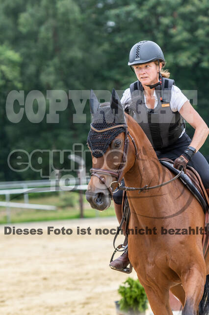 Hunter Geländetraining 10.07.2021 (Sonsbeck)